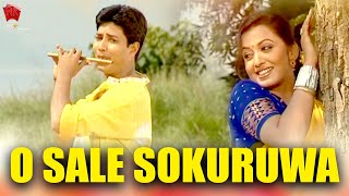 O SALE SOKURUWA | JAANMONI 2008 | VOL 2 | ASSAMESE MUSIC VIDEO | ZUBEEN GARG | BIHU SONG