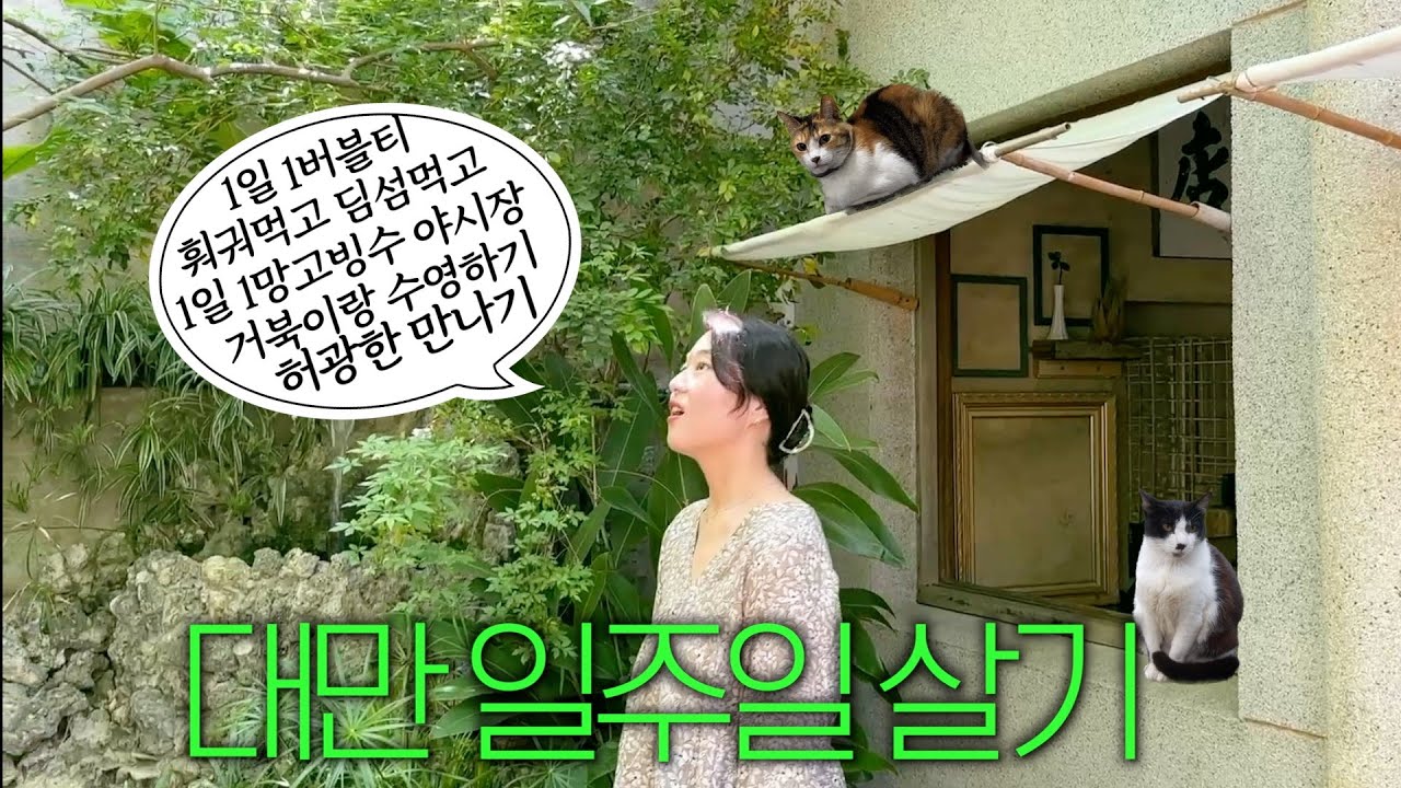 도파민 터지는 일주일 대만여행 몰아보기🇹🇼 맛집뿌시고 최애까지 만남✨