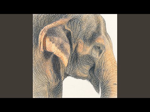Elephants of Sri Lanka 앨범 커버