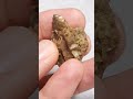 Sphene Natural Crystal from Brazil by PristineRocks on Ebay & Etsy