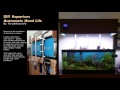 DIY Automatic aquarium hood /canopy lift DIY Automatic aquarium hood /canopy lift