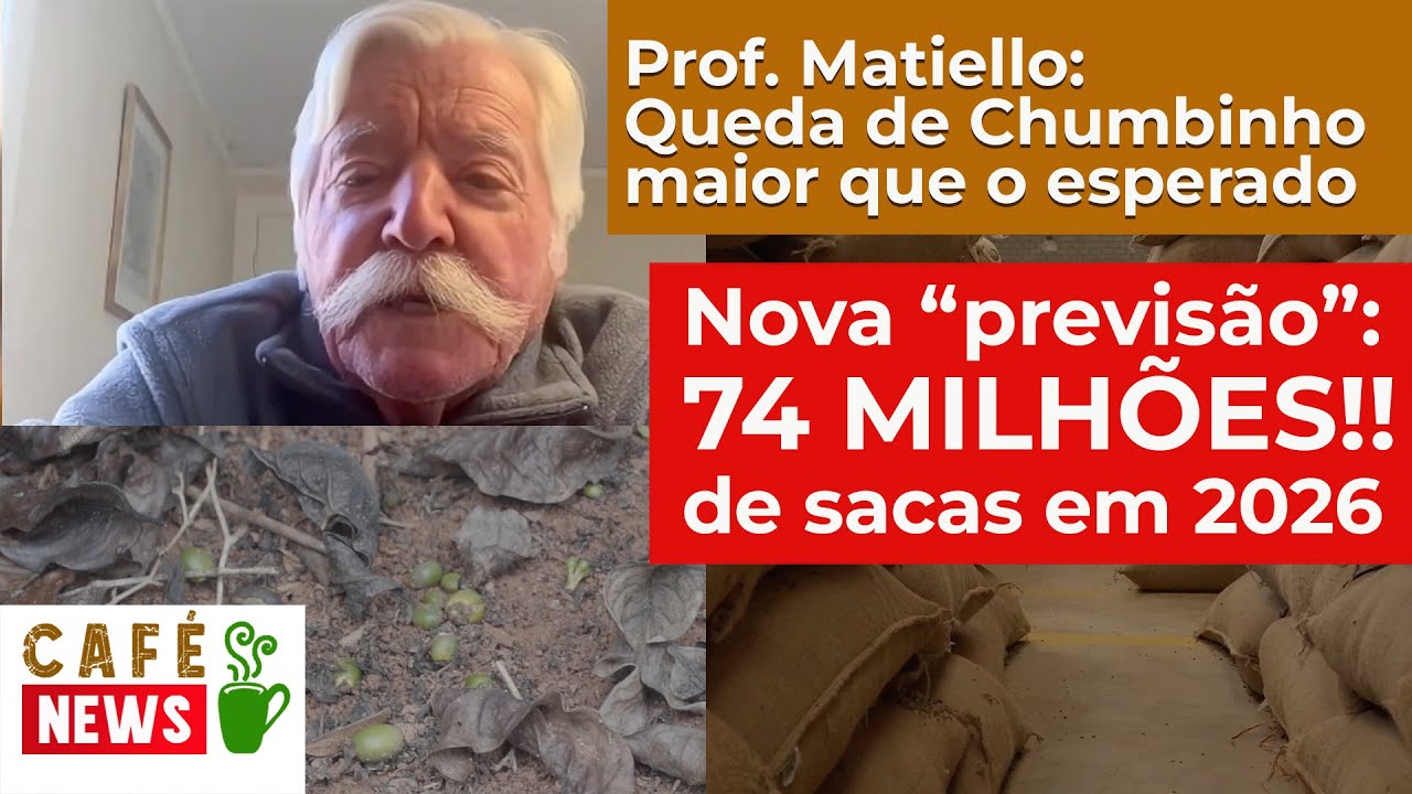 74 MILHÕES de sacas de CAFÉ no ANO QUE VEM!! E o PROF MATIELLO fala sobre as QUEDAS de CHUMBINHOS...
