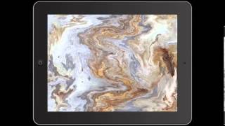 Exclusive FrangoCamera Scribbly Gum bark video Information