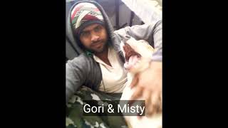 My All Pitbull Dogs Video Fighter Pitbull Latest Video 2022