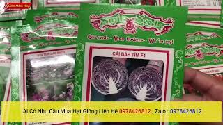 đại lý hạt giống cây trồng, đại lý hạt giống , đại lý hạt giống rau, đại lý hạt giống hoa