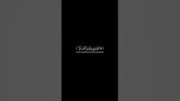 Free Overlay Surah Ibrahim 22 تراكب مجاني سورة ابراهيم @NoCreditQuranOverlay #qurancadence