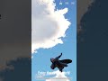 vector 🤣 flaying dance 🩰