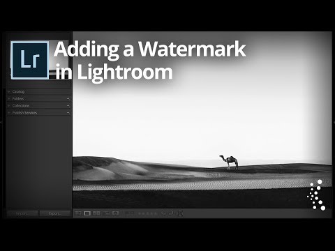 Adding a Watermark in Lightroom Classic