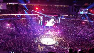 UFC 246 - Donald "Cowboy" Cerrone walkout @T-Mobile Arena