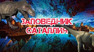 Едем С Квариати В Кутаиси / Заповедник Сатаплия / Следы Динозавров / Сталактиты И Сталагмиты