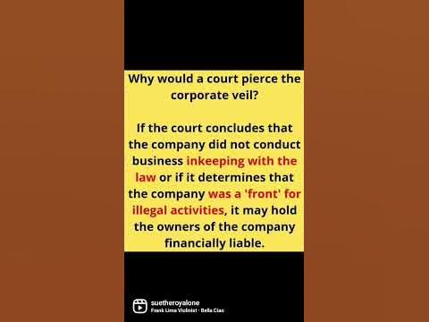What is the corporate veil? Why would a court pierce the corporate veil What is the corporate veil? Why would a court pierce the corporate veil