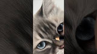 Hyper realistic Cute Cat Drawing | Realistic Portrait |  do you like cats? - #shorts