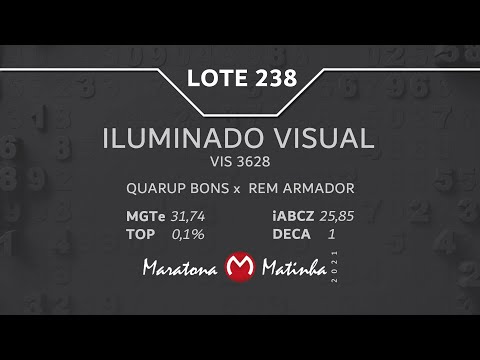 LOTE 238 Maratona Matinha