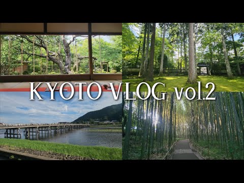 교토vlog⛩️🇯🇵vol.2/오하라마을/호센인/산젠인/츠바메/케이분샤/잇포도혼텐차호/아라시야마/%아라비카/치쿠린/모토무라 규카츠