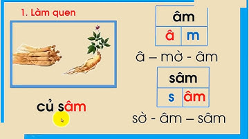 BÀI 40 âm, âp Tiếng việt lớp 1 sách cánh diều | cô thu ttc