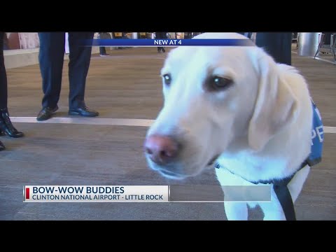 Video: Mga Therapy Dog Na Inaalok Sa Mga Nakababahalang Manlalakbay Sa Clinton National Airport