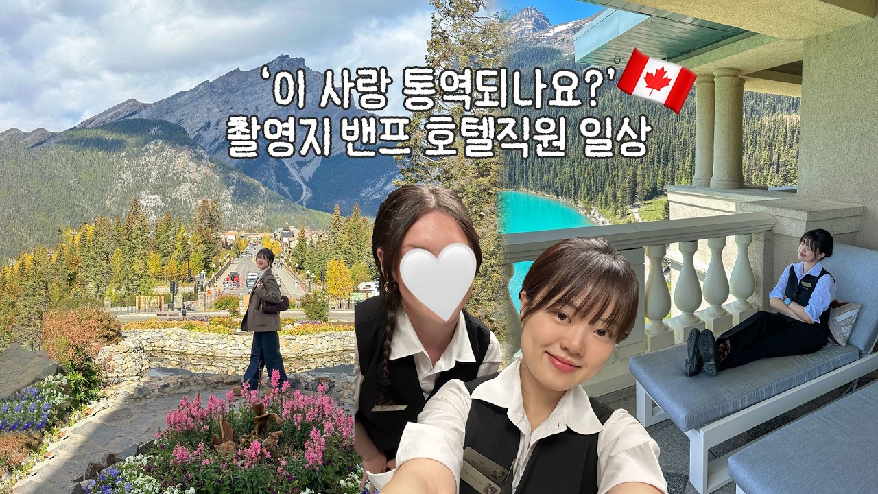 캐나다 워홀러 호텔리어의 혼자 밴프 나들이🏔️ 페어몬트의 가장 비싼 룸 구경!