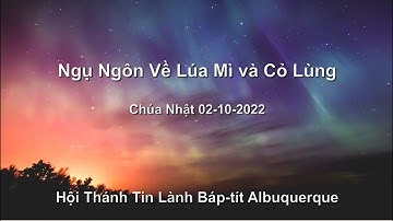 Ngụ Ngôn Về Lúa Mì và Cỏ Lùng (Ma-thi-ơ 13:24-30) -  MS Thái Quang Tấn