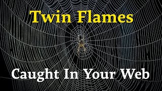Twin Flames 🔥They Lied To You And Regret It 😔 
