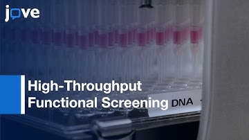 High-Throughput Functional Screening By Homemade Dual-Glow Luciferase Assay l Protocol Preview