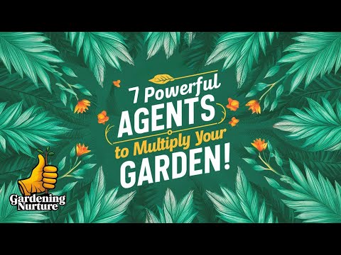 NATURAL ROOTING HORMONES FOR PLANT CLONING | Gardening Nurture