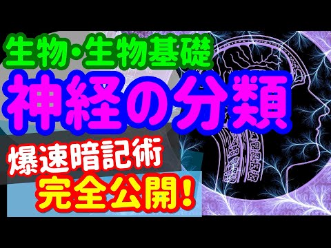 【生物基礎 22】代謝、恒常性【神経の分類】を宇宙一わかりやすく