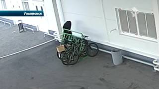 В Ульяновске разыскивают веловоришек, В Ульяновске разыскивают веловоришек,