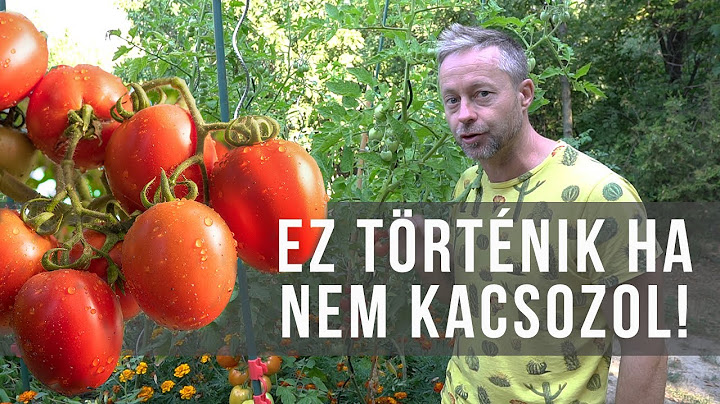 Ezért kell kaccsozni a paradicsomot!!