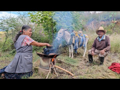 Video: El Contenedor de Embarque Home Actúa como una Escultura en la Tierra Irlandesa