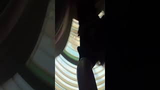 Lil transition!!:3 #therian #transition #rawr #therianthropy #cattherian #fyp