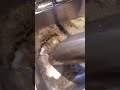Waste water, carpet cleaning.