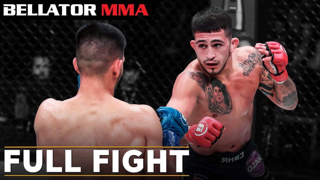 Full Fight Sergio Pettis vs Alfred Khashakyan Bellator 238