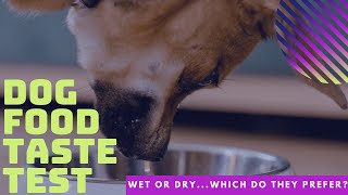 Do Dogs Prefer Dry or Wet Dog Food