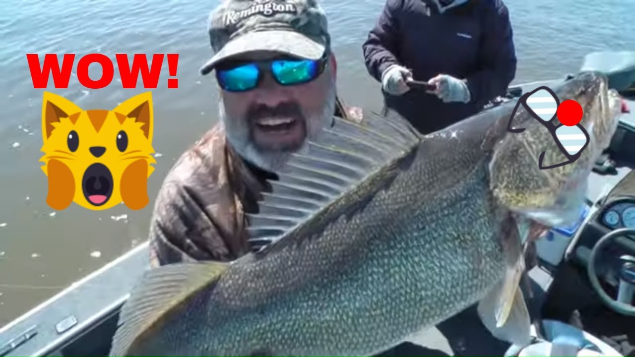 How to catch a 10 Walleye! (Fat Pig!) YouTube
