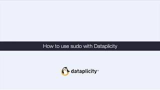 How to sudo with dataplicity screenshot 5