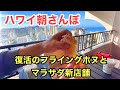 【ワイキキ朝さんぽ】復活のフライングホヌとワイキキにマラサダショップオープン！