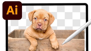 iPad Tutorial - Remove/Change Background in Adobe Illustrator