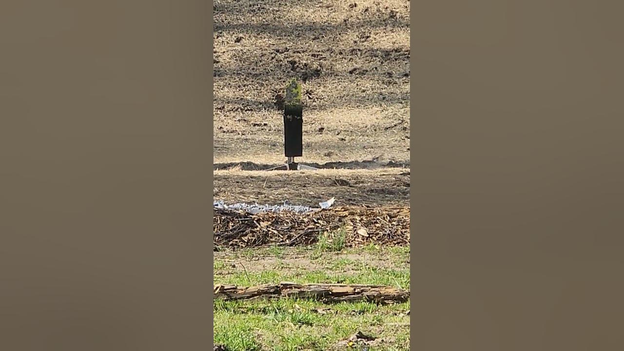 50yd planking with psa akv9 youtube