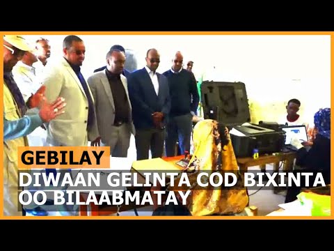 Gebilay: Diwaan Gelinta Codbixiyayaasha Oo Bilaabmatay