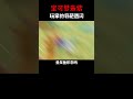 宝可梦朱紫 玩家的奇葩遇闪 神奇宝贝 宝可梦 游戏 宝可梦朱紫 玩家的奇葩遇闪 神奇宝贝 宝可梦 游戏