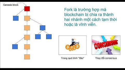 Fork là gì? Soft-fork với hard-fork là gì? |-blockdev-|