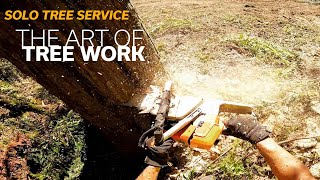 Solo Tree Service - The Art of Tree Work