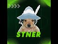 Sábado de farmeo Chill / Challenge Road EX e inscripciones copa StNeR