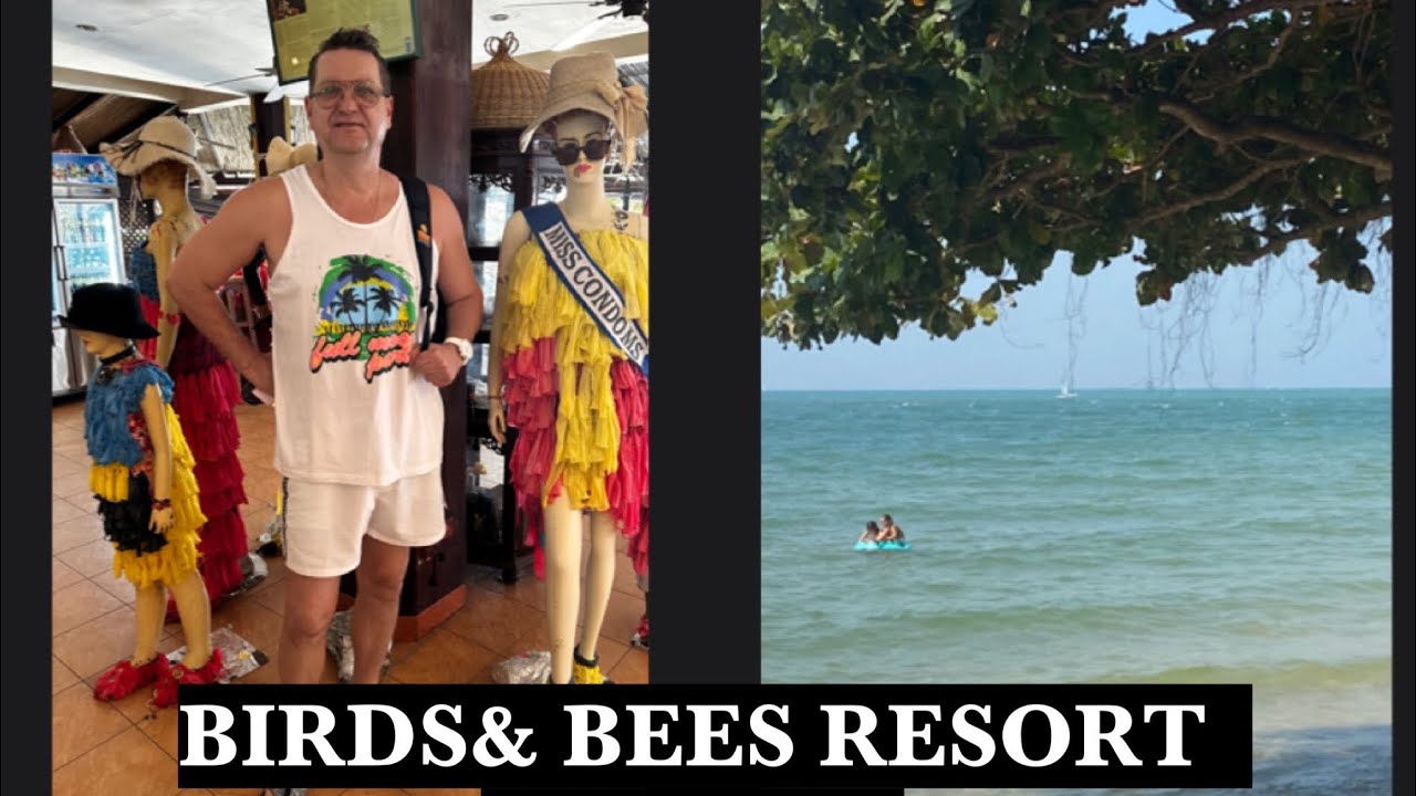 ТАИЛАНД ПАТТАЙЯ. “ BIRDS & BEES RESORT”- РАЙСКИЙ ОТЕЛЬ НА БЕРЕГУ МОРЯ! САМЫЙ НЕОБЫЧНЫЙ РЕСТОРАН!