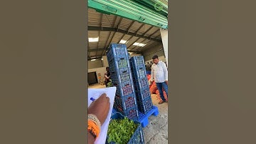 Palamaner fpo has got 4cr subsidy for PPC through MoFPI under Operation Greens Scheme #fpo #scheme