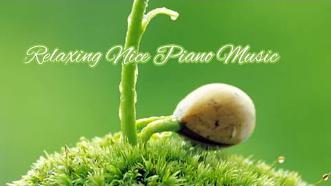 How to see Soothing piano Seliping with music/How to see Soothing Relaxing with music