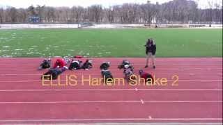 ELLIS Harlem Shake 2