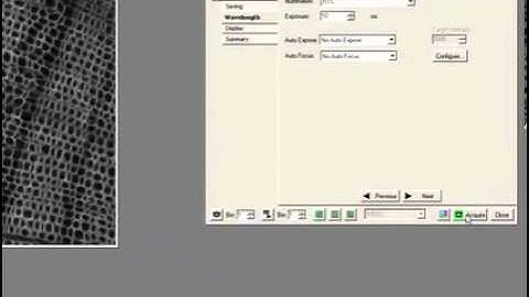 Acquirin and Multichannel Capture in Metamorph Software