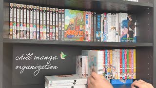 Manga Organization Timelapse | GETTING READY FOR SPRING