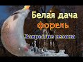 Закрытие льда по форели на Белой Даче. Народу ТЬМА!!!! Trout from the ice at the White Dacha.